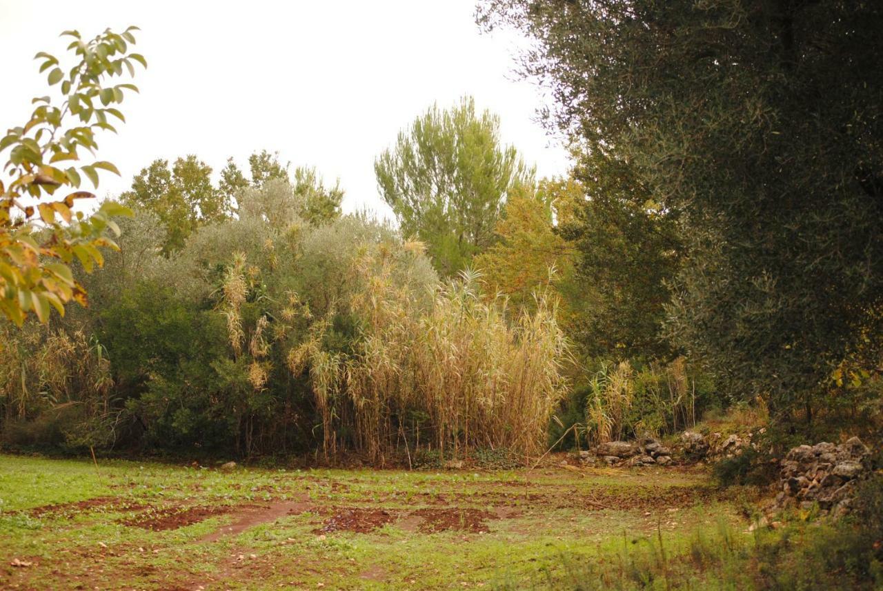 Bed and Breakfast Il Giardino Di Viola Ceglie Messapica Exterior foto
