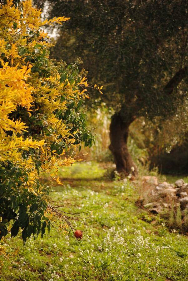 Bed and Breakfast Il Giardino Di Viola Ceglie Messapica Exterior foto