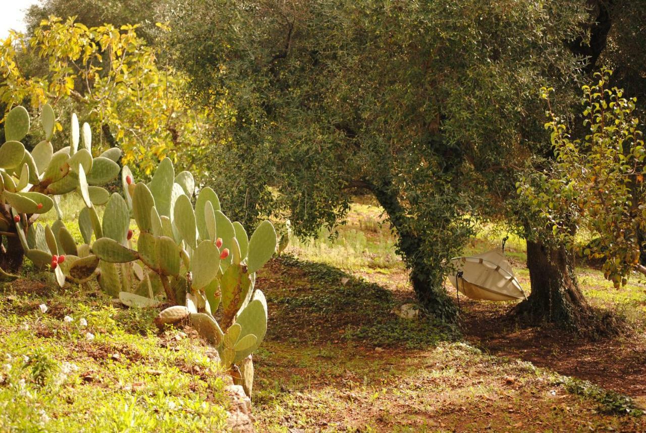 Bed and Breakfast Il Giardino Di Viola Ceglie Messapica Exterior foto