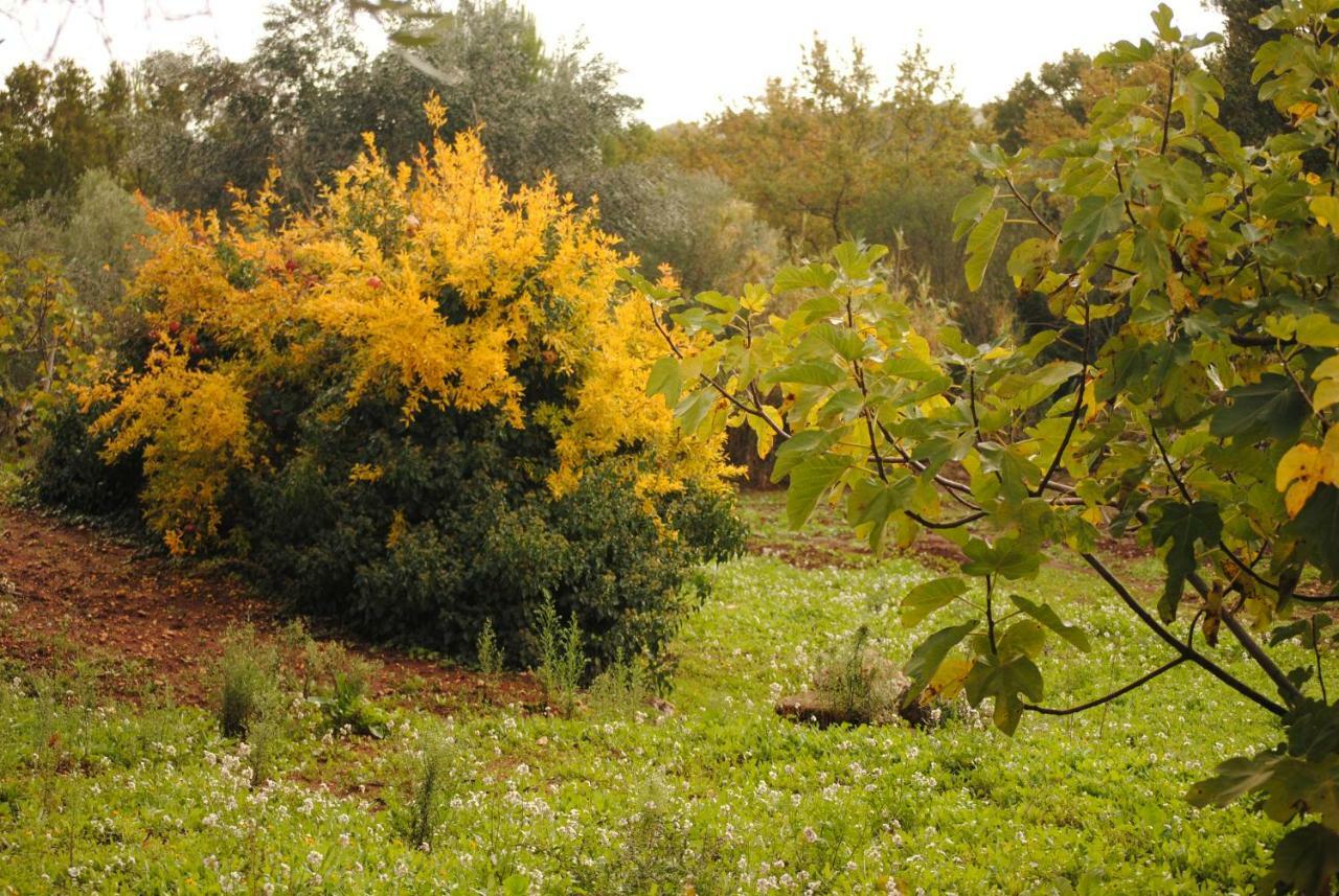 Bed and Breakfast Il Giardino Di Viola Ceglie Messapica Exterior foto