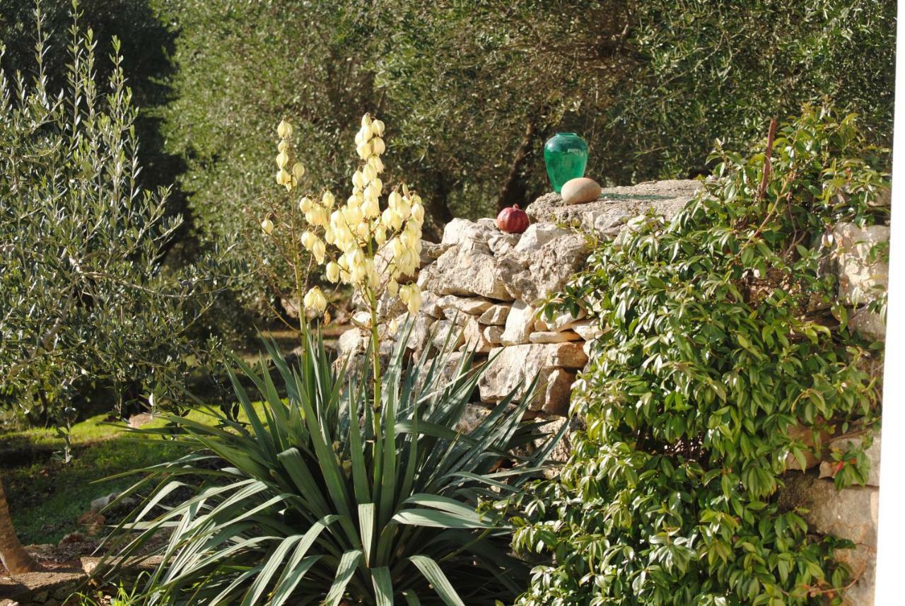 Bed and Breakfast Il Giardino Di Viola Ceglie Messapica Exterior foto