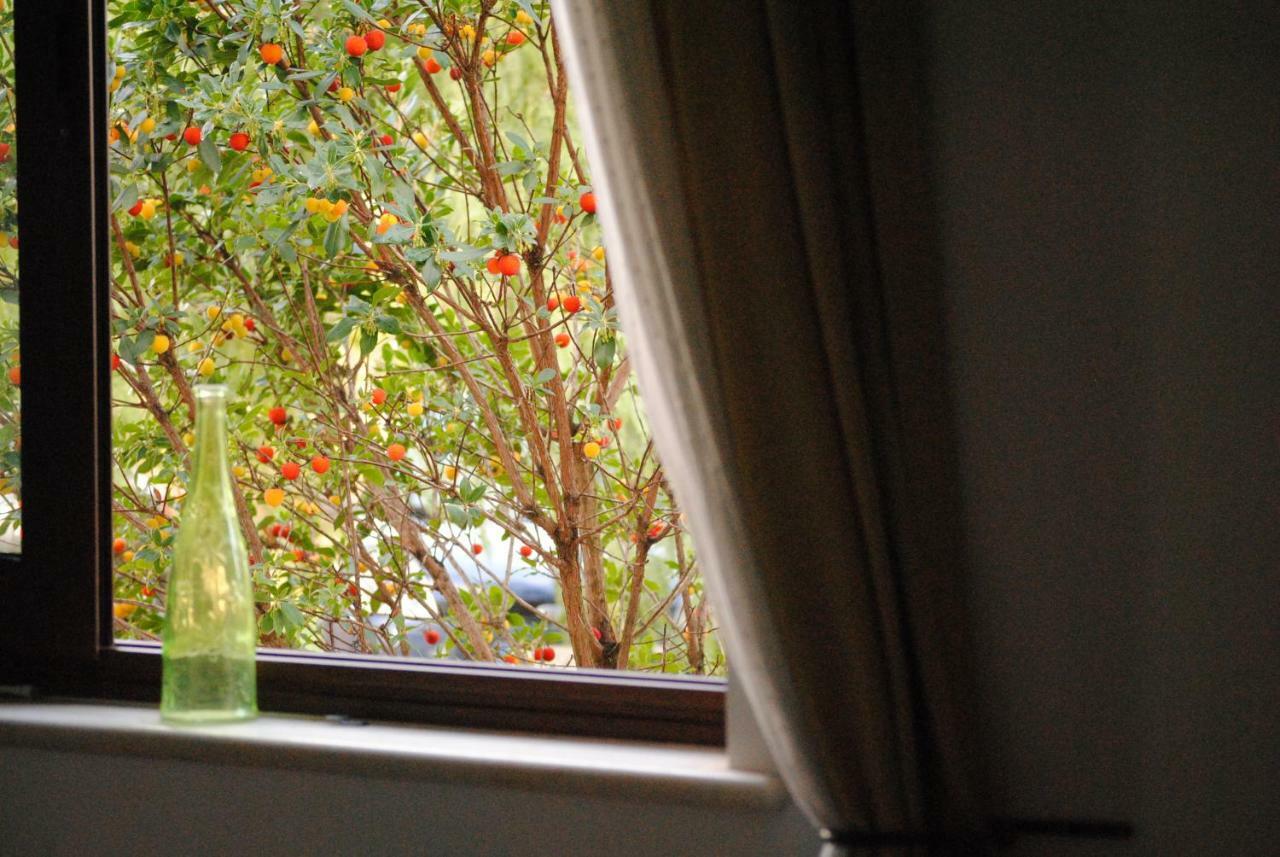 Bed and Breakfast Il Giardino Di Viola Ceglie Messapica Exterior foto