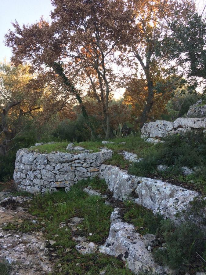 Bed and Breakfast Il Giardino Di Viola Ceglie Messapica Exterior foto
