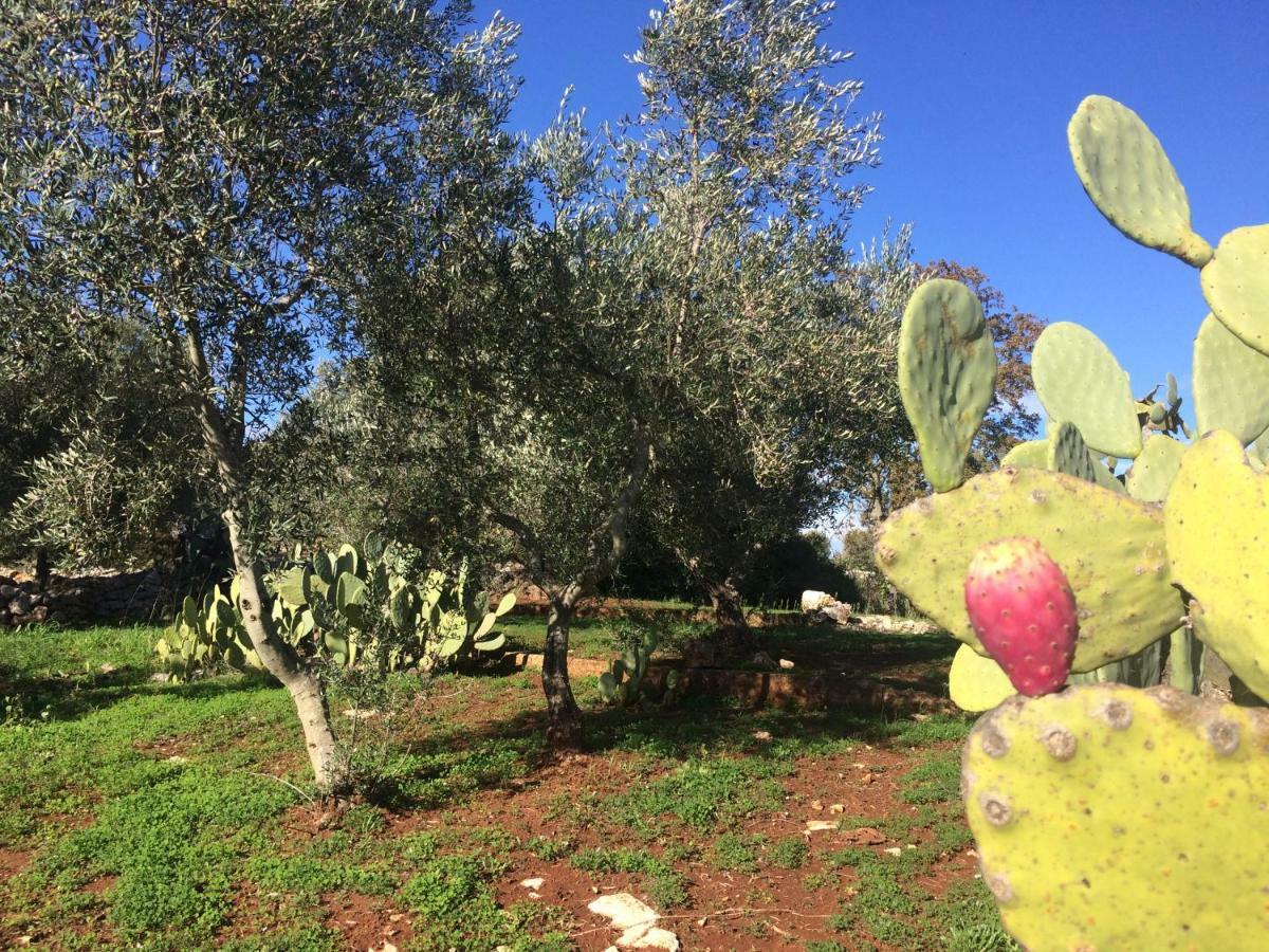 Bed and Breakfast Il Giardino Di Viola Ceglie Messapica Exterior foto