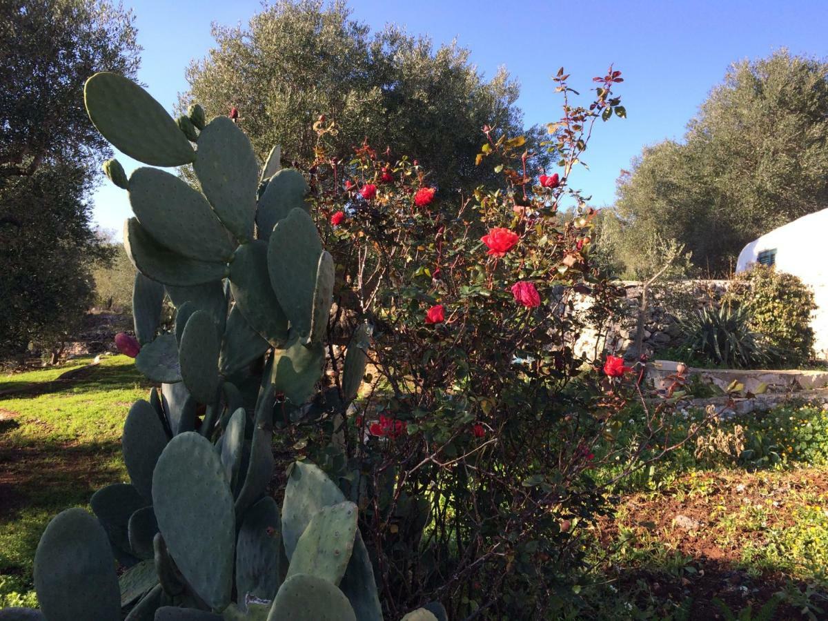 Bed and Breakfast Il Giardino Di Viola Ceglie Messapica Exterior foto